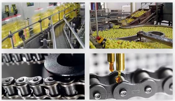 Dau-xich-an-toan-thuc-pham1